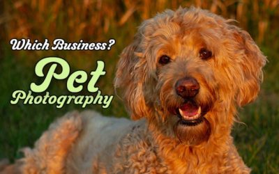 Which Business? – Pet Photography